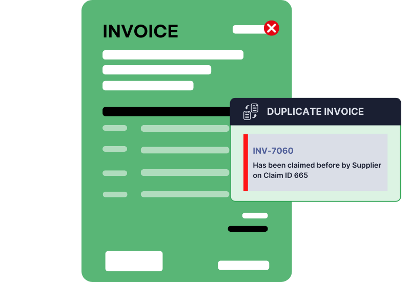 duplicate payment (10)