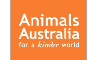 Animals Aus orange