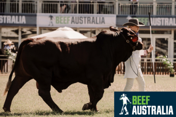 beef australia